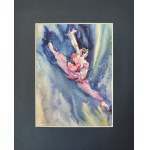 Alexander Franko, Ballerina 35x28