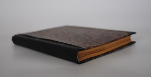 J. F. Rutherford - Hell , Desirable Government , Prosperity Certain - U.S.A 1924