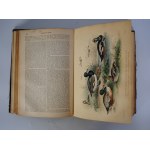 A History of the Earth and animated nature - Olivier Goldsmith - Landon 1868