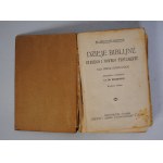 Ks. Konstanty Damroth - Dzieje Biblijne Starego I Nowego Testamentu Dla Szkół Katolickich - Imprimatur Katowice 1923 r.