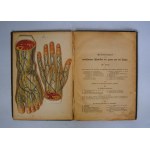 Zerlegbare Modelle zu Dr F König`s Ratgeber - Modele Anatomiczne Do Rozkładania