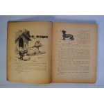 Kazimierz Rosinkiewicz (Rojan) - Bohater Cis - Z Winietą Okładkową I 20 Ilustracjami Stanisława Sawiczewskiego - Poznań-Warszawa - Nakład Księgarni Św. Wojciecha