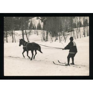 PODDĘBSKI Henryk - Fotografia Skijoring w Worochcie (447)