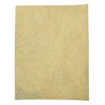 Nalepka okienna TSL (Tow. Szkół Ludowych) - 3 Maja 1917 (468)