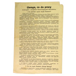 [Soviet propaganda 1920] Political leaflet of the 25th Soviet Division, 1920(378)