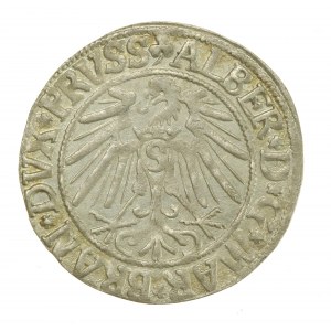 Prusy Książęce, Albrecht Hohenzollern, Grosz 1543, Królewiec - Piękny (115)
