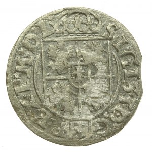 Zygmunt III Waza, Półtorak 1619, Bydgoszcz (117)