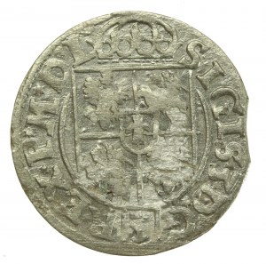 Sigismund III Vasa, Half-track 1619, Bydgoszcz (117)