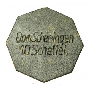 Dominium Szewno 10 szefli (374)