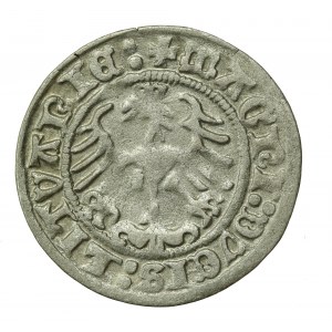 Zygmunt I Stary, Półgrosz 1513, Wilno (614)