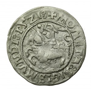 Zygmunt I Stary, Półgrosz 1521, Wilno (617)