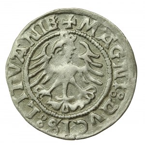Zygmunt I Stary, Półgrosz 1521, Wilno (617)
