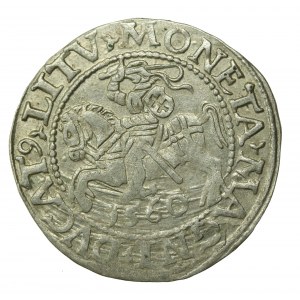 Zygmunt II August, Półgrosz 1560, Wilno - LI/LITV (625)
