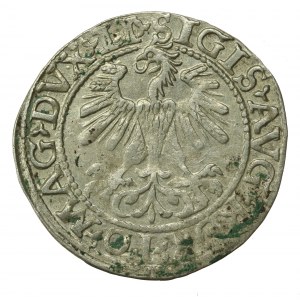 Zygmunt II August, Półgrosz 1560, Wilno - LI/LITV (625)