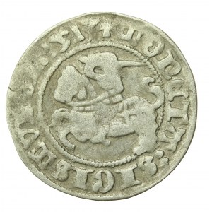 Zygmunt I Stary, Półgrosz 1513, Wilno (635)