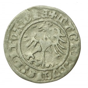 Zygmunt I Stary, Półgrosz 1513, Wilno (635)