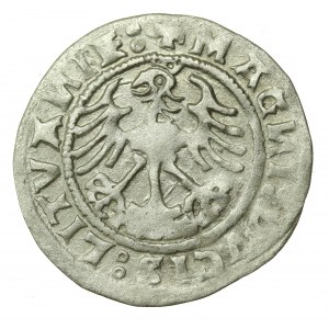 Zygmunt I Stary, Półgrosz 1519, Wilno (644)