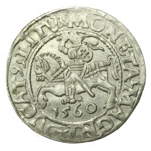 Sigismund II Augustus, Half-penny 1560, Vilnius - L/LITV (645)