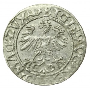 Sigismund II Augustus, Half-penny 1560, Vilnius - L/LITV (645)