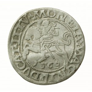 Sigismondo II Augusto, mezzo penny 1563, Vilnius - L/LITV (703)