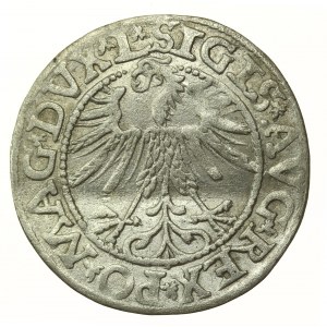 Sigismondo II Augusto, mezzo penny 1563, Vilnius - L/LITV (703)