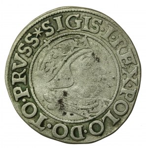 Zygmunt I Stary, Grosz 1538, Gdańsk (727)