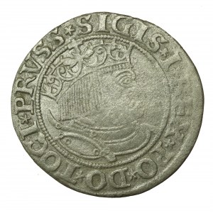 Zikmund I. Starý, Grosz 1533, Toruň (729)