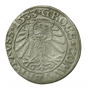 Zikmund I. Starý, Grosz 1533, Toruň (729)
