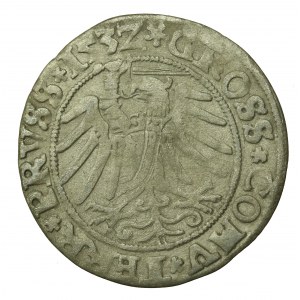 Zygmunt I Stary, Grosz 1532, Toruń (731)