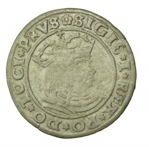 Zygmunt I Stary, Grosz 1529, Toruń (732)