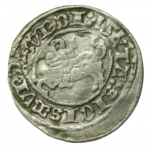 Zygmunt I Stary, Półgrosz 1517, Wilno (733)
