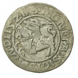Zygmunt I Stary, półgrosz 1521, Wilno - dwukropek, dwukropek (886)
