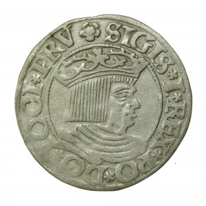 Zygmunt I Stary, grosz 1534, Gdańsk - PRV (552)