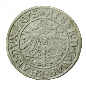 Prusy Książęce, Albrecht Hohenzollern, Grosz 1533, Królewiec - PRVS (565)