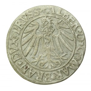Prussia Ducale, Albrecht Hohenzollern, Penny 1539, Königsberg - PRVSS (569)
