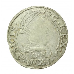 Sigismund II Augustus, Lithuanian penny per Polish foot 1568, Vilnius (573)