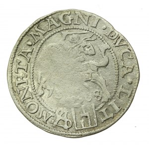 Sigismund II Augustus, Lithuanian penny per Polish foot 1568, Vilnius (573)