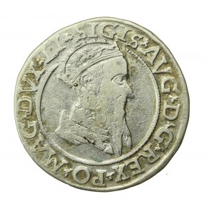 Zygmunt II August, czworak 1569, Wilno, LI/LITVA (574)