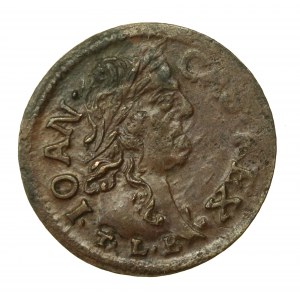 John II Casimir, crown shilling 1663 TLB, Ujazdów (581)