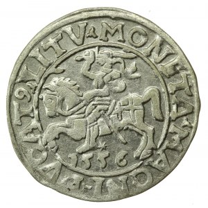 Zygmunt II August, Półgrosz 1556 Wilno, LI / LITV (596)