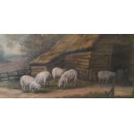 Pavel Schaik, Scene with sheep