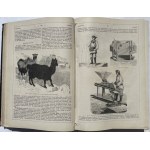 3 KALENDARZE JAWORSKIEGO 1865,1866,1867 PLANY WARSZAWY
