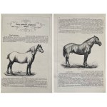 3 KALENDARZE JAWORSKIEGO 1865,1866,1867 PLANY WARSZAWY