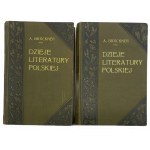 DZIEJE LITERATURY POLSKIEJ II