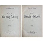 DZIEJE LITERATURY POLSKIEJ II