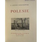 DIVY POĽSKA - POLESIE