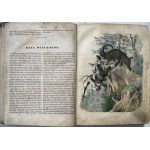 BOOK OF THE WORLD 1853-1854