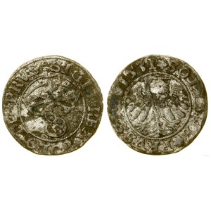 Poland, sheląg, 1531, Toruń
