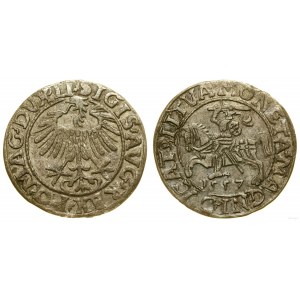 Poland, Lithuanian half-penny, 1557, Vilnius