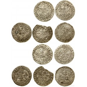 Poland, set of 5 x half-penny, 1556, 1559, 1560, 1564, 1565, Vilnius